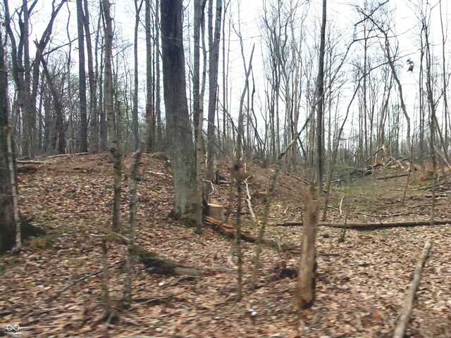 0 Wells Rd, Coal City, IN 47427