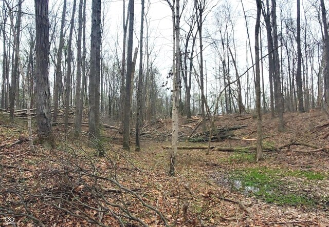 0 Wells Rd, Coal City, IN 47427