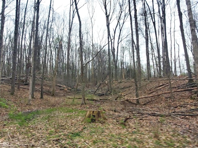 0 Wells Rd, Coal City, IN 47427