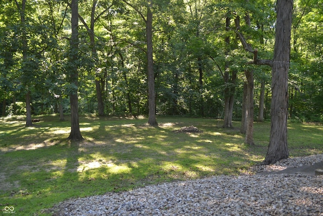 704 S Rockfield Rd, Veedersburg, IN 47987 - view of grassy yard with a wooded view