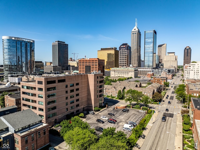 225 N New Jersey St Unit 52, Indianapolis, IN 46204 - skyline view