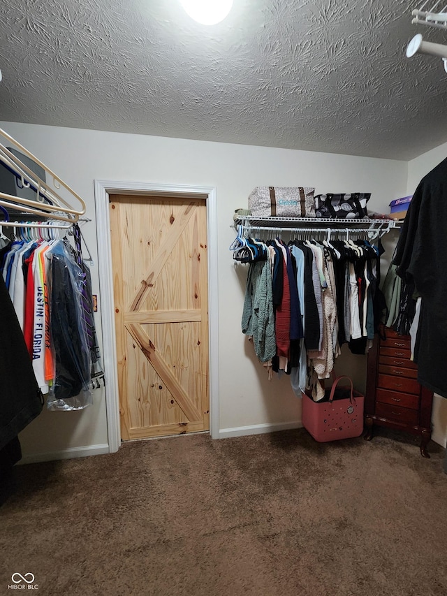 7511 Eddie Ln, Camby, IN 46113 - spacious closet with carpet floors
