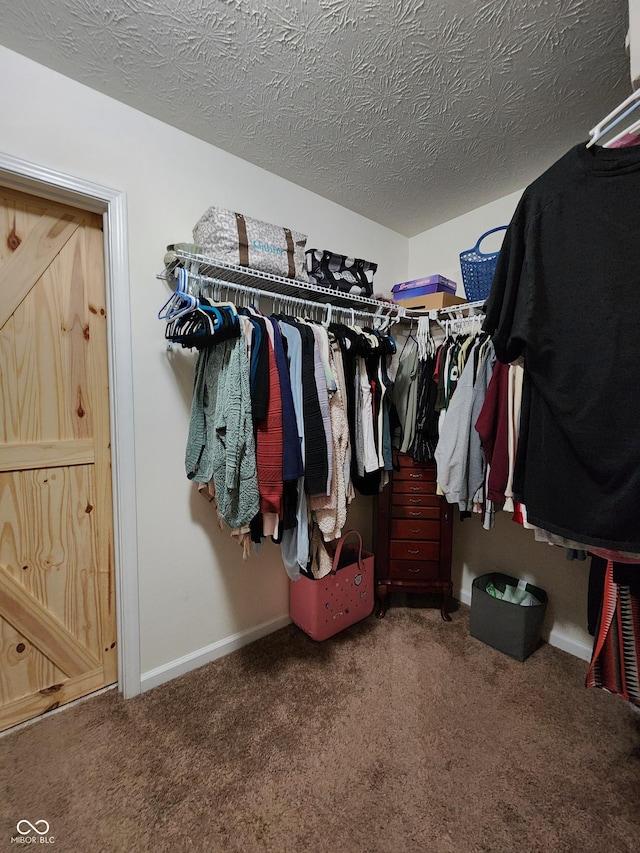 7511 Eddie Ln, Camby, IN 46113 - walk in closet featuring carpet