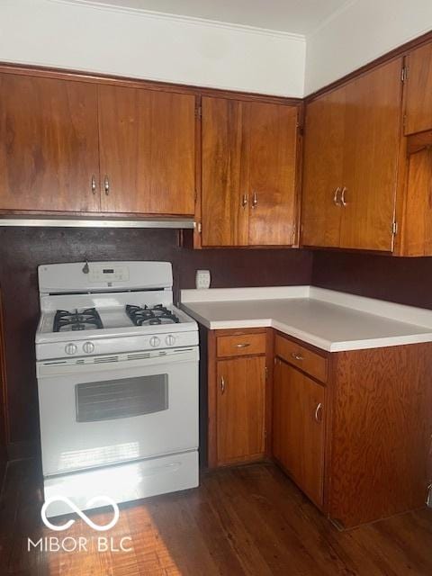 416 W 21st St, Anderson, IN 46016 - kitchen with white gas range oven, brown cabinetry, light countertops, dark wood finished floors, and under cabinet range hood