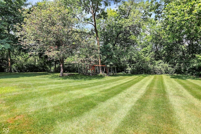 13779 Stone Dr, Carmel, IN 46032 - view of green lawn with a playground