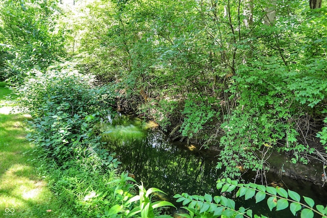 13779 Stone Dr, Carmel, IN 46032 - view of undeveloped land