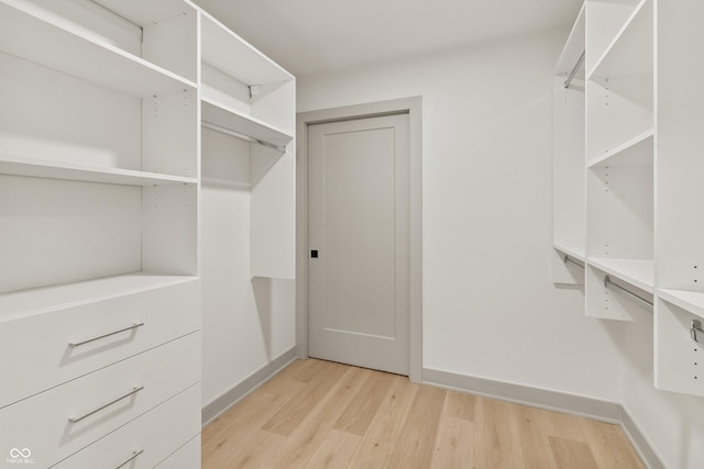 8246 Windcombe Blvd, Indianapolis, IN 46240 - walk in closet with light wood-type flooring