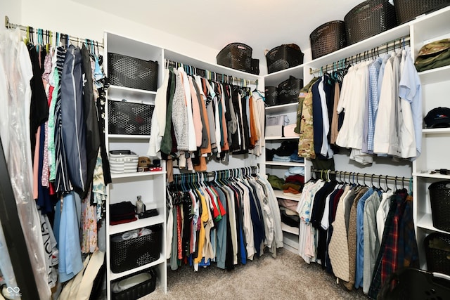 3443 Thomas Jefferson St, Westfield, IN 46074 - spacious closet with carpet
