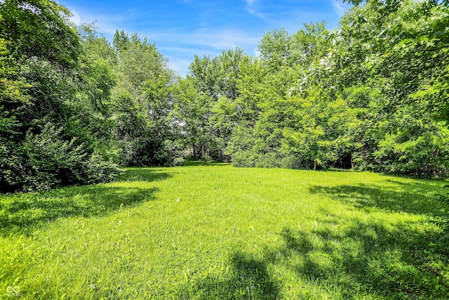 10159 Hodge Rd, Clayton, IN 46118 - view of yard featuring a forest view