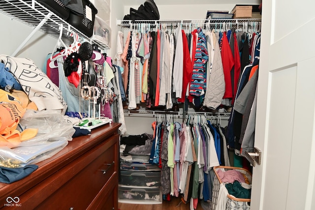 2734 Chalbury Dr, Plainfield, IN 46168 - spacious closet featuring wood finished floors