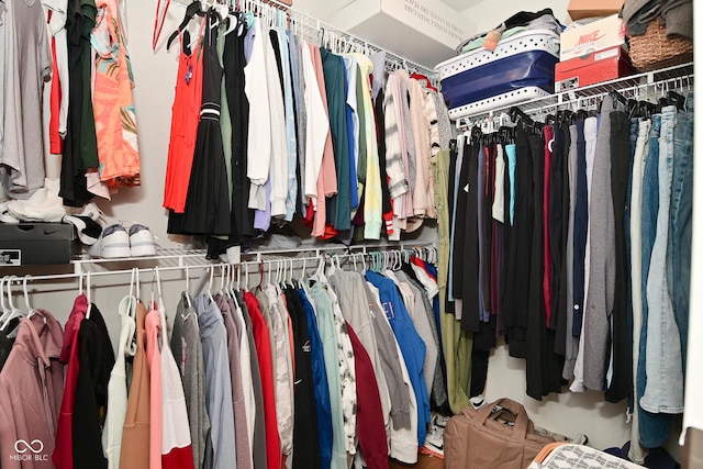 2734 Chalbury Dr, Plainfield, IN 46168 - view of spacious closet