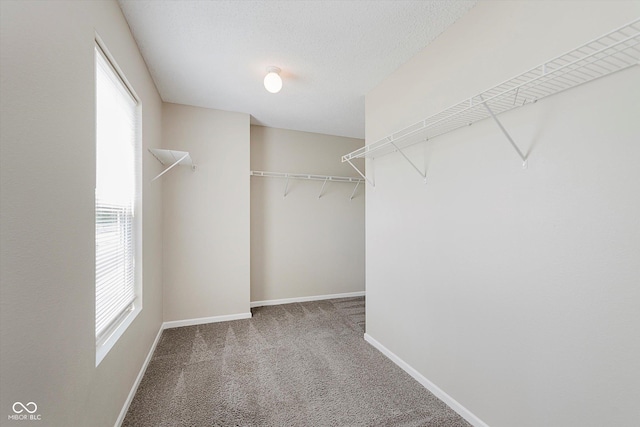 7572 Wymm Ln, Ingalls, IN 46048 - walk in closet featuring carpet flooring