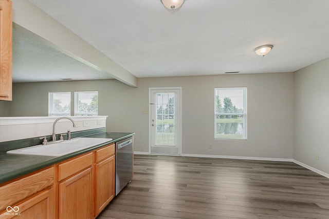 7572 Wymm Ln, Ingalls, IN 46048 - kitchen featuring stainless steel dishwasher, plenty of natural light, dark wood-style floors, and dark countertops