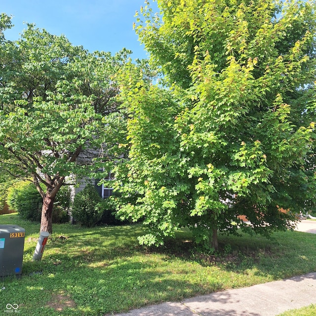 10775 Cyrus Dr, Indianapolis, IN 46231 - view of grassy yard