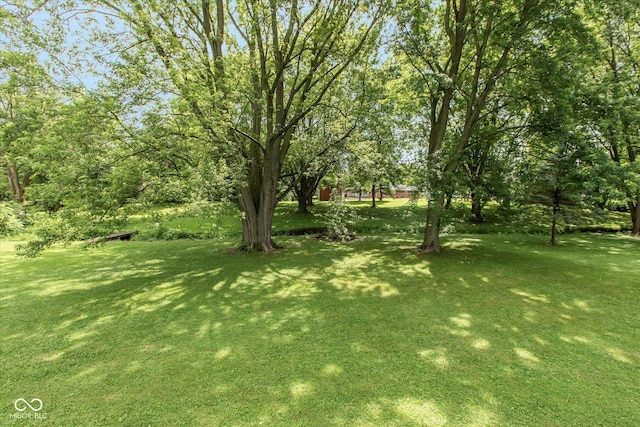 305 Pike St, Darlington, IN 47940 - view of grassy yard