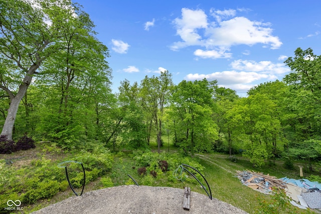 4945 S 100 E, Lafayette, IN 47909 - view of yard featuring a wooded view