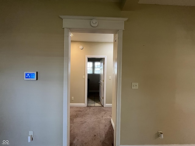 1900 S 25th St, Terre Haute, IN 47802 - corridor featuring carpet floors and baseboards