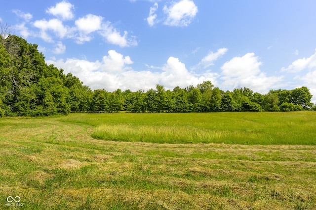 9030 E 700 S, Elizabethtown, IN 47232 - view of woods featuring a view of countryside