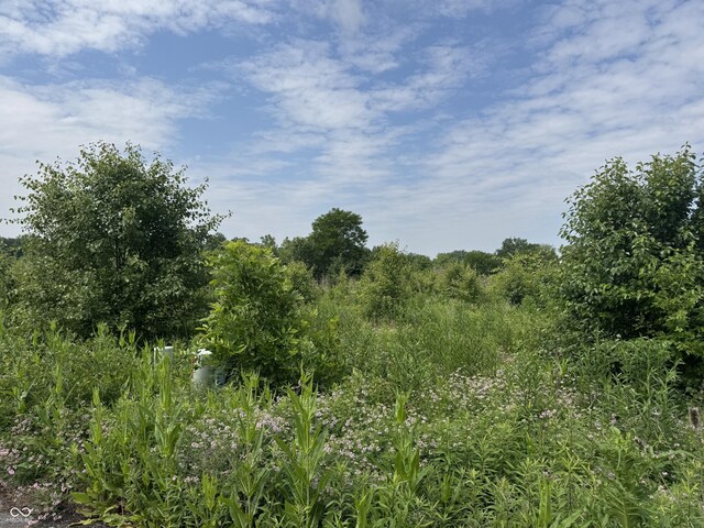612 Narrow Brook Dr, Indianapolis, IN 46239 - photo 6