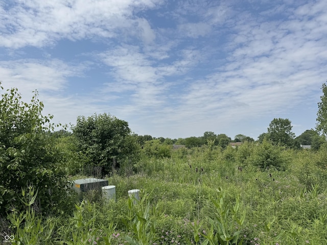 612 Narrow Brook Dr, Indianapolis, IN 46239 - photo 4