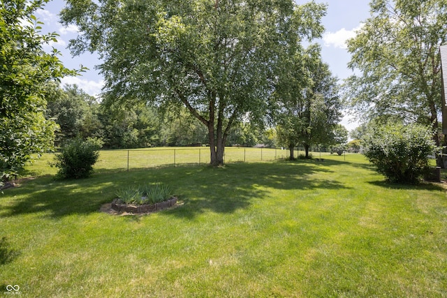 439 Alisa Ave, Seymour, IN 47274 - view of yard