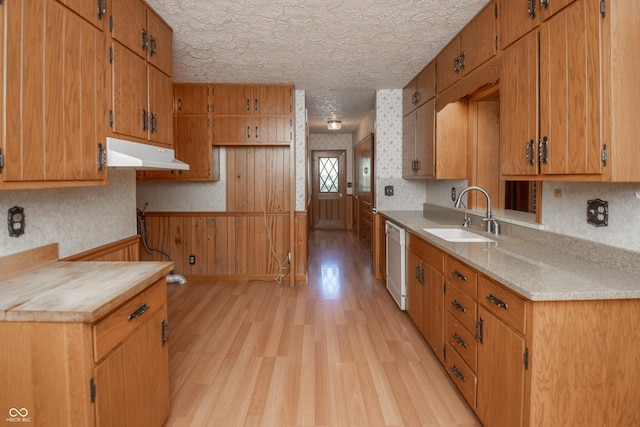 660 E Dr, Seymour, IN 47274 - kitchen with under cabinet range hood, dishwasher, light wood-type flooring, light countertops, and a wainscoted wall