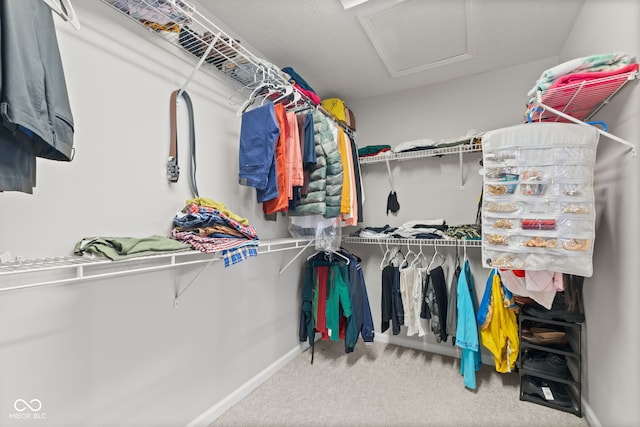 7350 Gold King Way, Indianapolis, IN 46259 - walk in closet featuring attic access and carpet floors