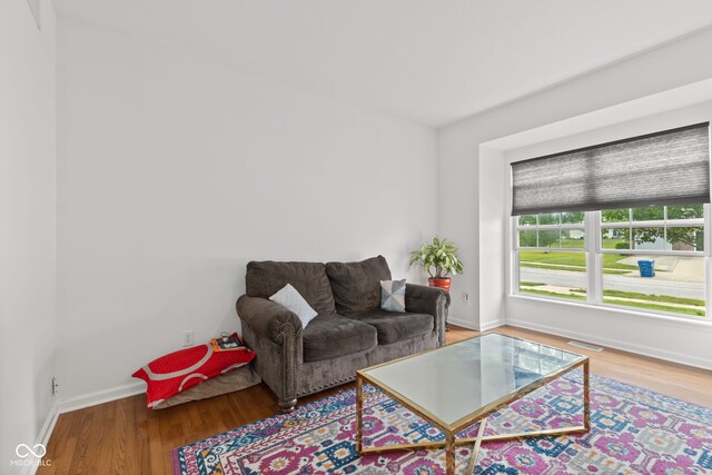 7350 Gold King Way, Indianapolis, IN 46259 - living room featuring wood finished floors and baseboards