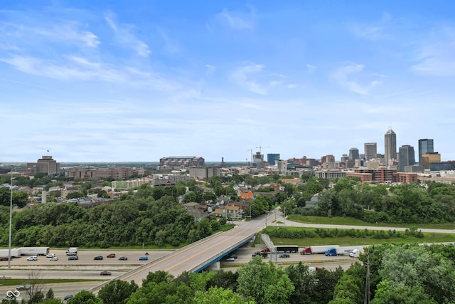 934 Calvary St, Indianapolis, IN 46203 - aerial view of city skyline