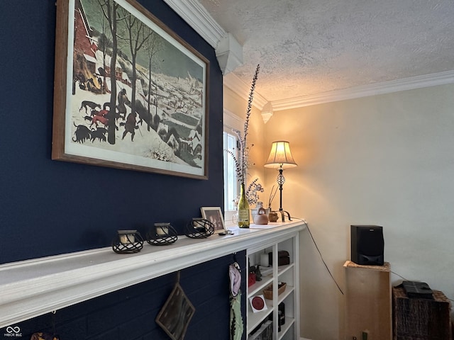 1433 N Colorado Ave, Indianapolis, IN 46201 - detailed view of a textured ceiling and ornamental molding