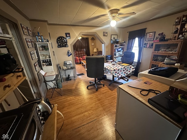 1033 S Locke St, Kokomo, IN 46902 - office space featuring crown molding, ceiling fan, and wood finished floors