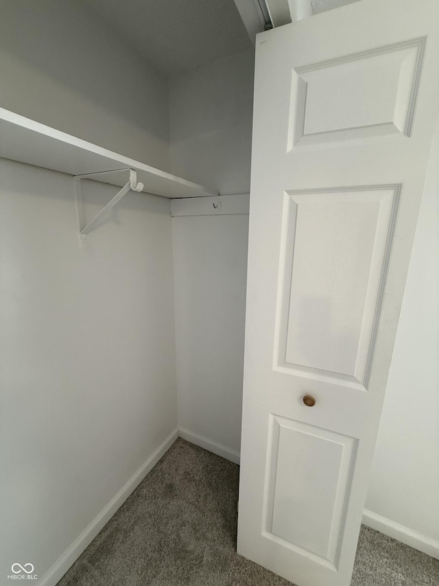8434 Meadowlark Dr, Indianapolis, IN 46226 - spacious closet with carpet floors