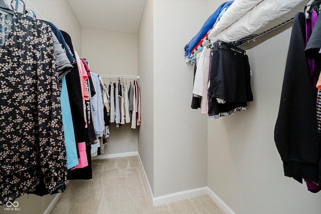 6644 Aberdeen Dr, Mccordsville, IN 46055 - spacious closet with carpet flooring