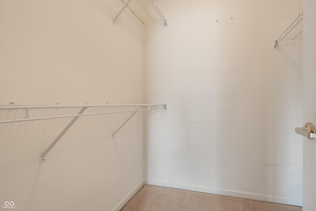 246 Legends Creek Way Apt 207, Indianapolis, IN 46229 - spacious closet with light carpet