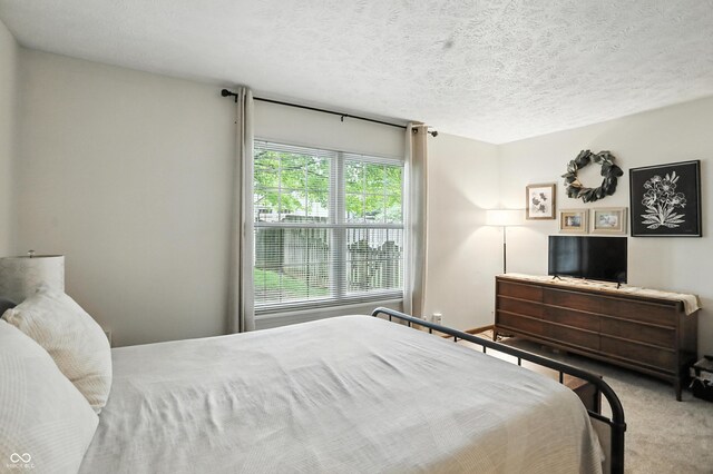610 Front Royal Dr, Indianapolis, IN 46227 - bedroom featuring carpet and a textured ceiling
