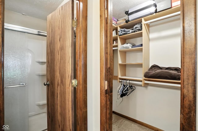 610 Front Royal Dr, Indianapolis, IN 46227 - spacious closet with carpet flooring