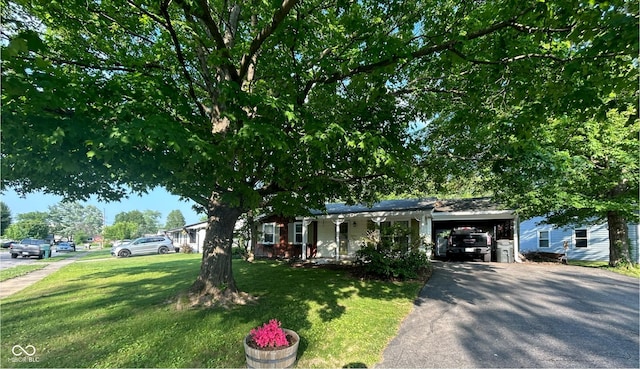 1908 Tennyson Dr, Clarksville, IN 47129 - view of property hidden behind natural elements featuring asphalt driveway, a front lawn, and a garage