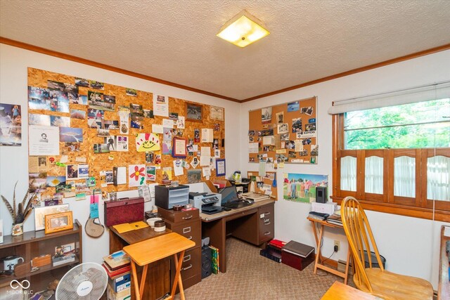 2808 Woodside Dr, Plainfield, IN 46168 - carpeted home office with ornamental molding and a textured ceiling