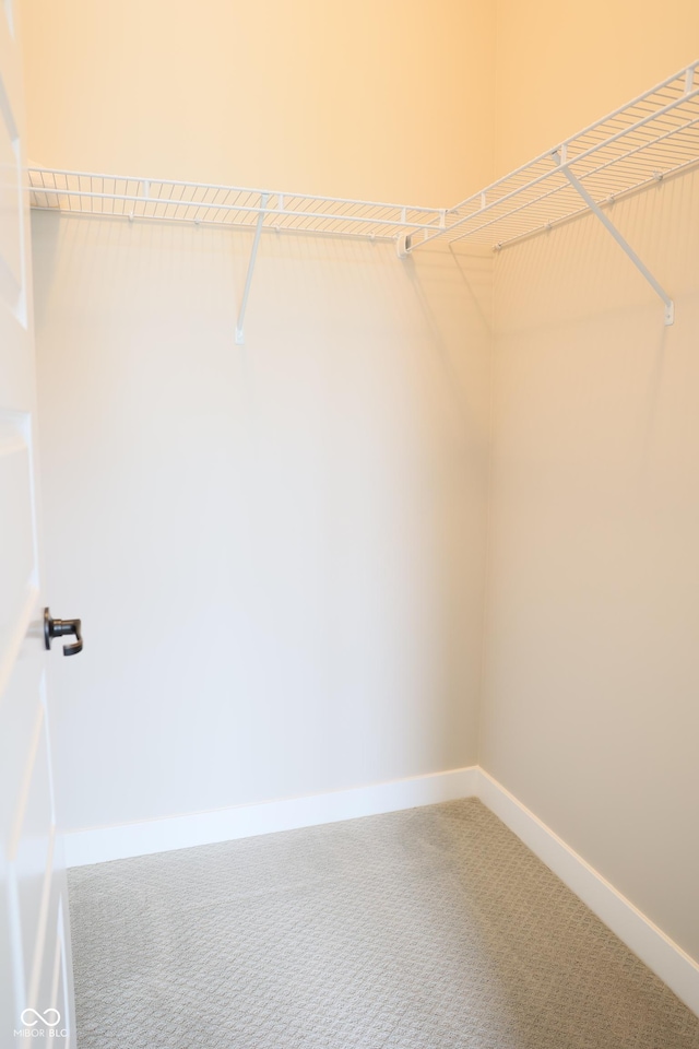 13044 Moorland Ln, Carmel, IN 46074 - spacious closet featuring carpet flooring