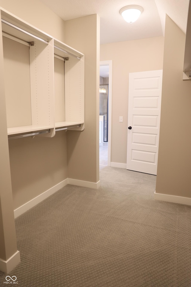 13044 Moorland Ln, Carmel, IN 46074 - spacious closet with light carpet