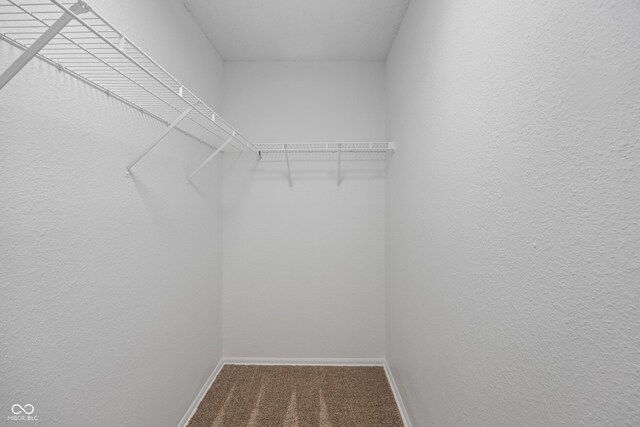 10222 Arapahoe Dr, Indianapolis, IN 46235 - spacious closet featuring carpet floors