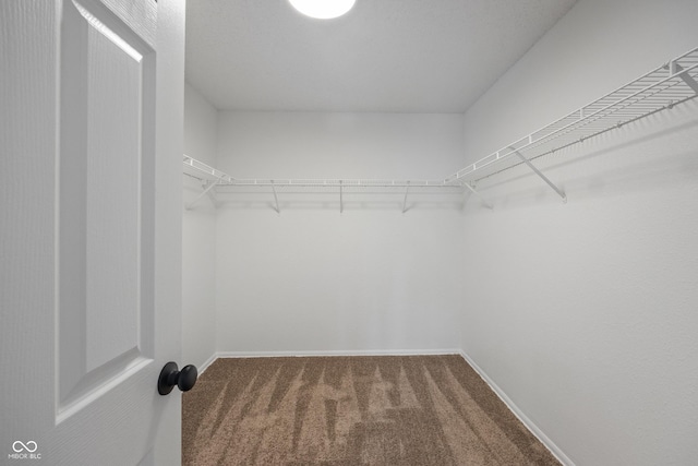 10222 Arapahoe Dr, Indianapolis, IN 46235 - spacious closet featuring carpet floors