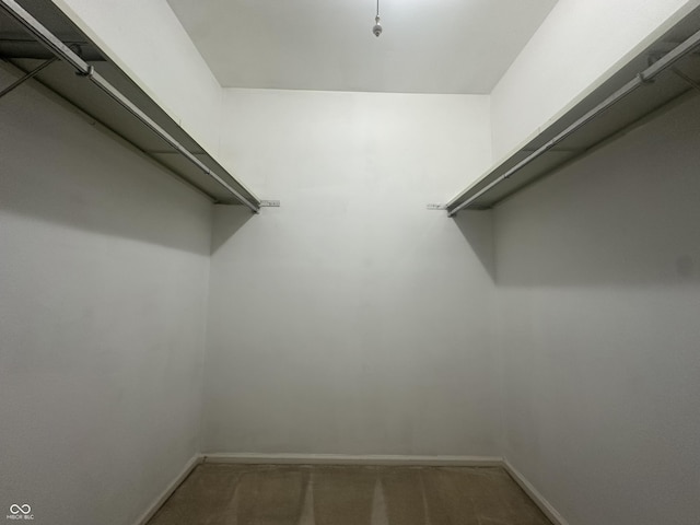 1289 Woodcreek Dr, Greenwood, IN 46142 - spacious closet with carpet flooring