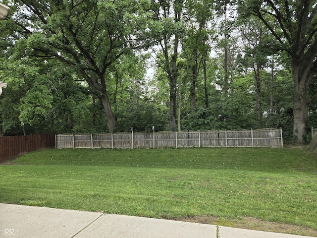 7440 Oakview Dr, Avon, IN 46123 - view of yard