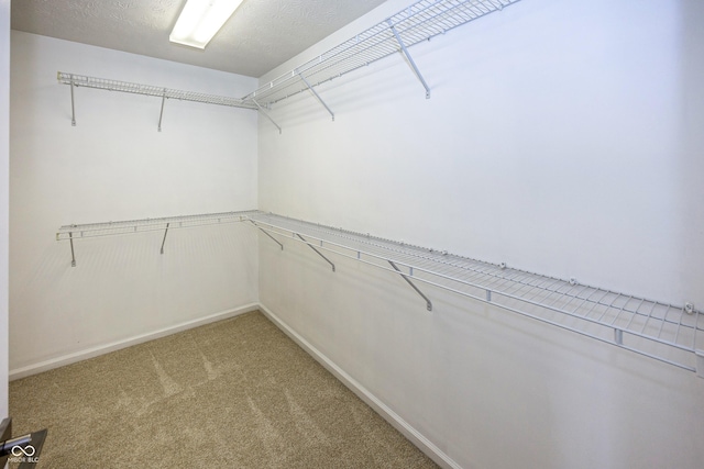 14052 Rayners Ln, Fishers, IN 46037 - walk in closet featuring light colored carpet