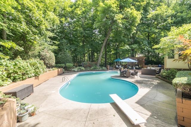 10518 Courageous Dr, Indianapolis, IN 46236 - outdoor pool featuring a patio, a diving board, and an outdoor living space