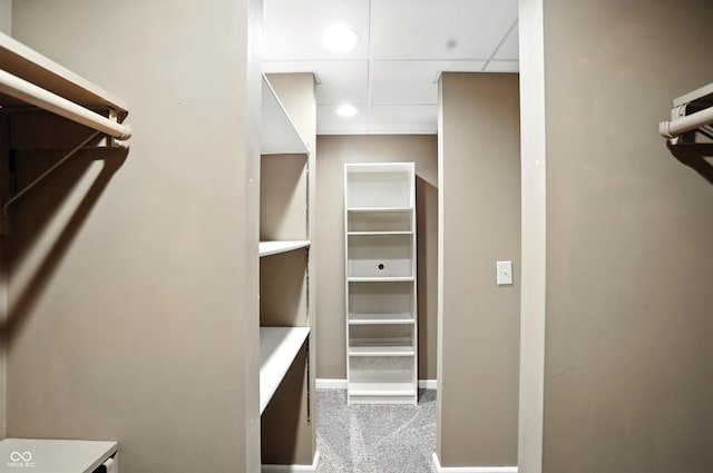 6183 Whitetail Run, Greenwood, IN 46143 - spacious closet with carpet flooring