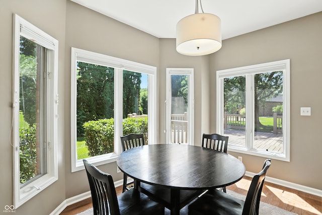 6183 Whitetail Run, Greenwood, IN 46143 - dining area featuring dark wood-style flooring