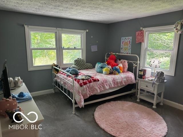 3815 Briar Rdg, Monrovia, IN 46157 - carpeted bedroom with a textured ceiling and multiple windows