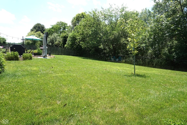 6422 Hollingsworth Dr, Indianapolis, IN 46268 - view of yard